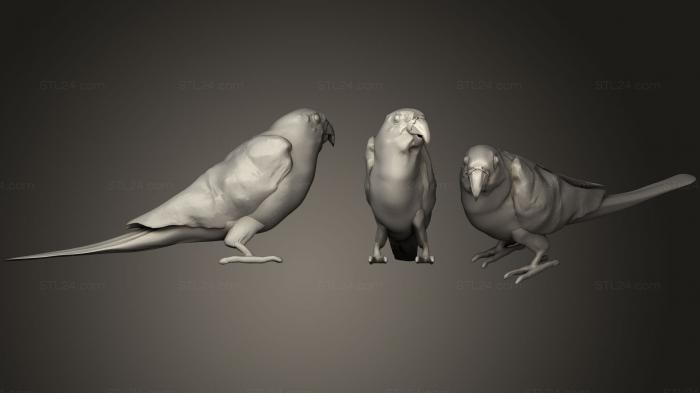 Статуэтки птицы (Птичка Зигги, STKB_0192) 3D модель для ЧПУ станка